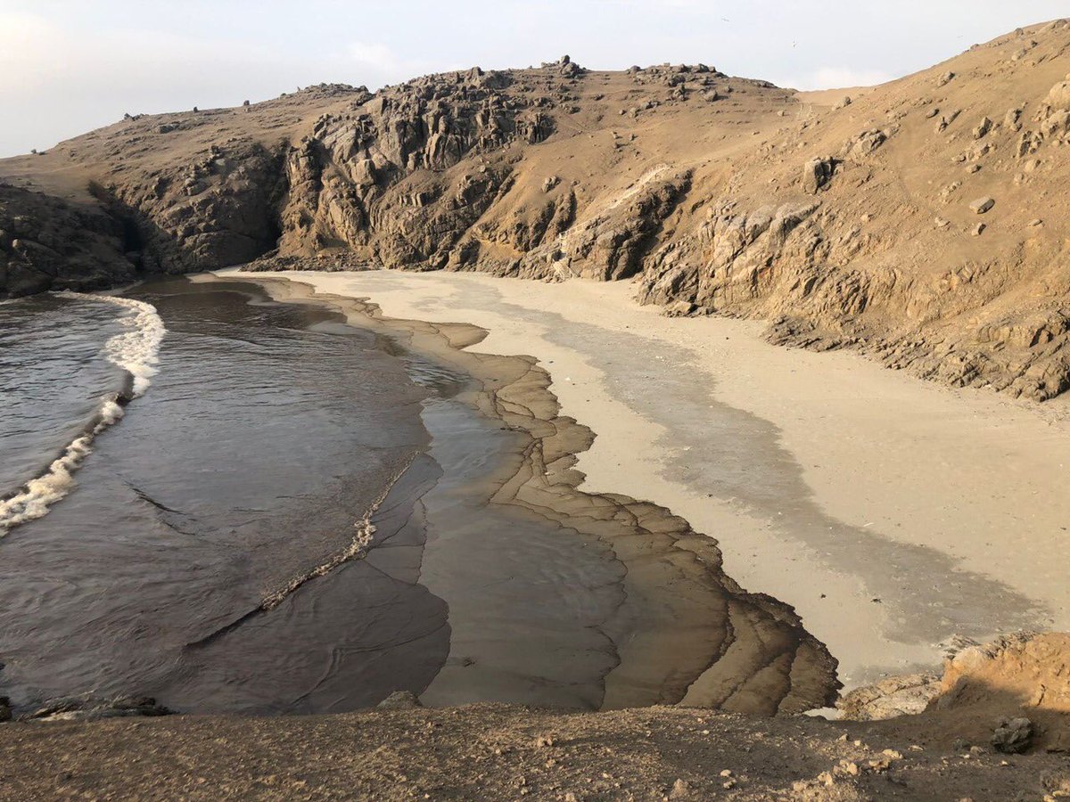 Oceana_Peru's tweet photo. 18 mil m2 de playas, lo que equivale a 2,5 veces la superficie del Estadio Nacional, es el área afectada por el derrame de #Ventanilla. #LaPampilla @OEFAperu @Repsol @naval_peru https://t.co/nDmr2cmFra