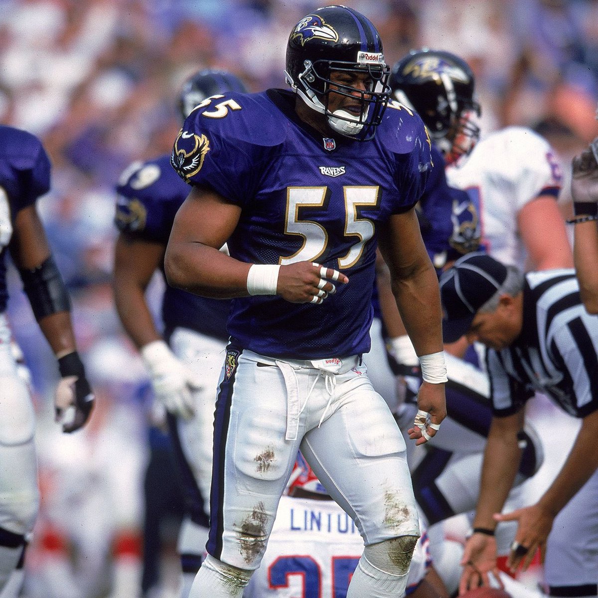 Alex Zanfardino tweet media