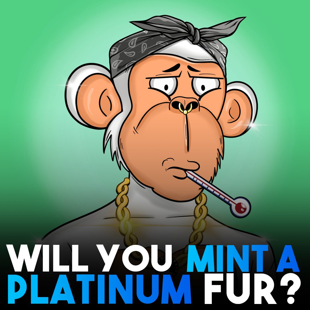 HighRollerApes's tweet photo. All High Roller Apes are unique in their own way, but some are more rare than others! Maybe you will mint a Platinum fur? Or maybe you'll mint a 1 of 5 super rare and be granted a $5,000 bonus with it! 

#nft #nfts #nftgiveaway https://t.co/gBARQq0FRl