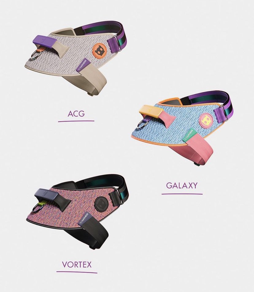 LUKE & ARYA tweet media