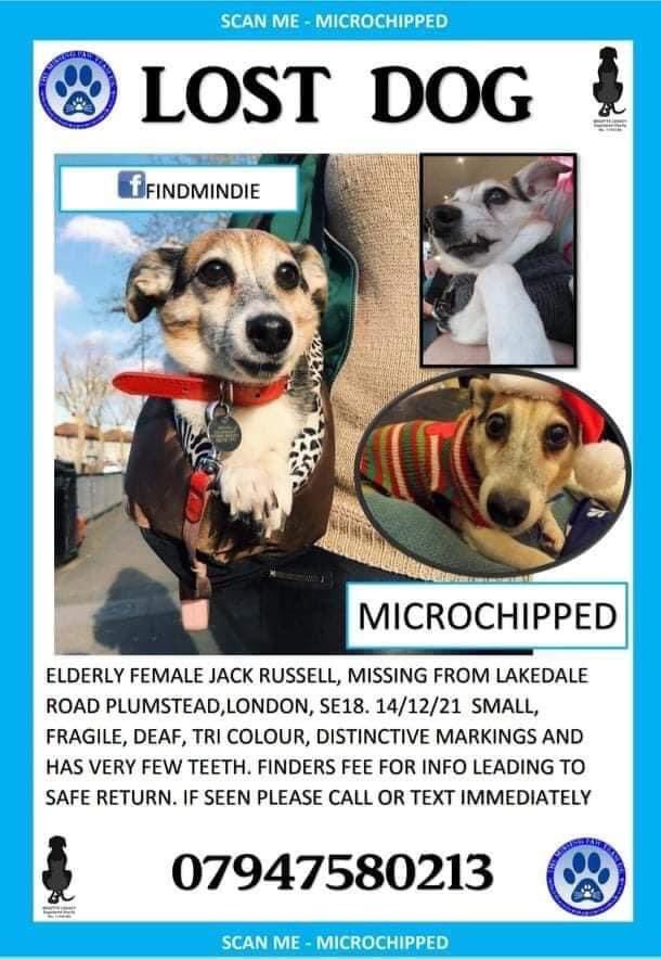 _alien_________'s tweet photo. #FindMindieSE18 please help find this sweet elderly girl Mindie by retweeting, she has been missing for a month now https://t.co/QxUHXOn8M7