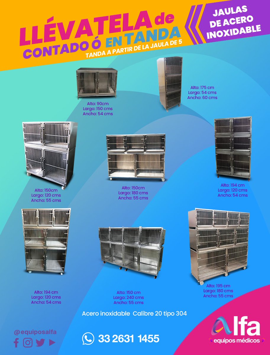 LATINZOO tweet media