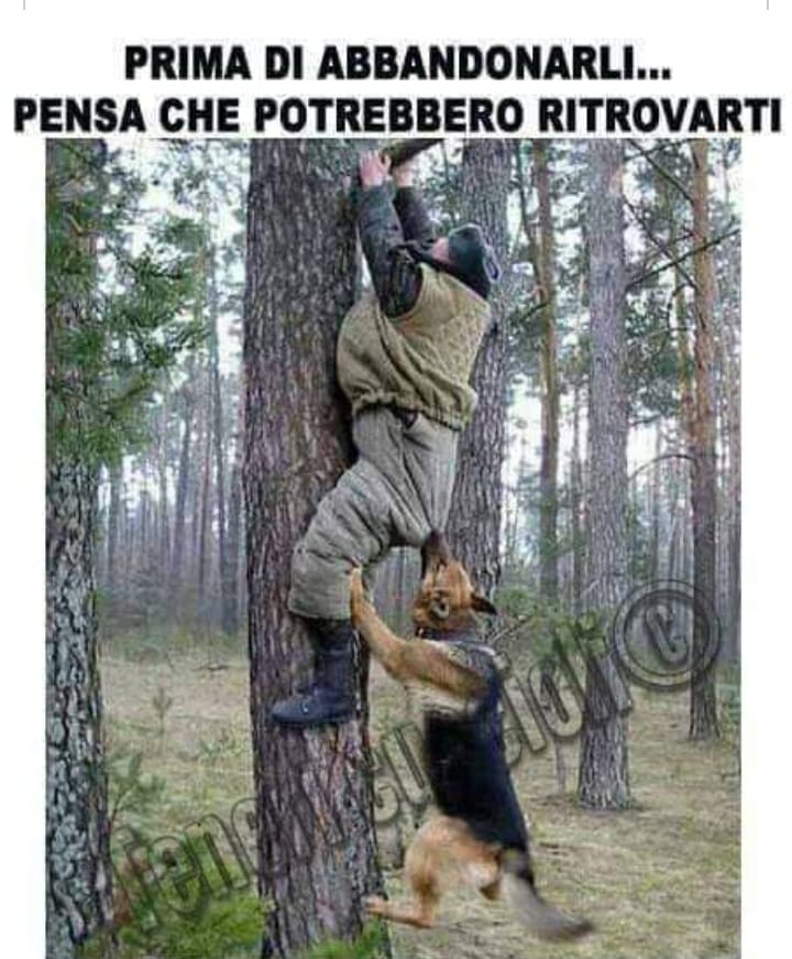 Ambrakey 🇮🇹 tweet media