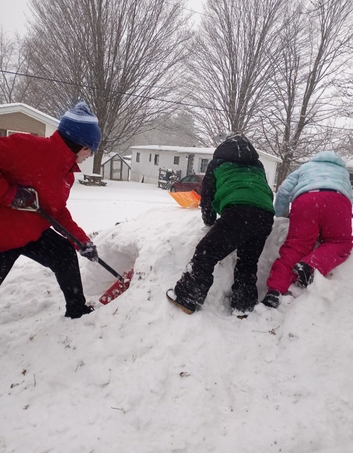 leashy_Love's tweet photo. Helping mommy shovel is no fun let's dig a tunnel instead 🤣 https://t.co/9xjjYWYqSd