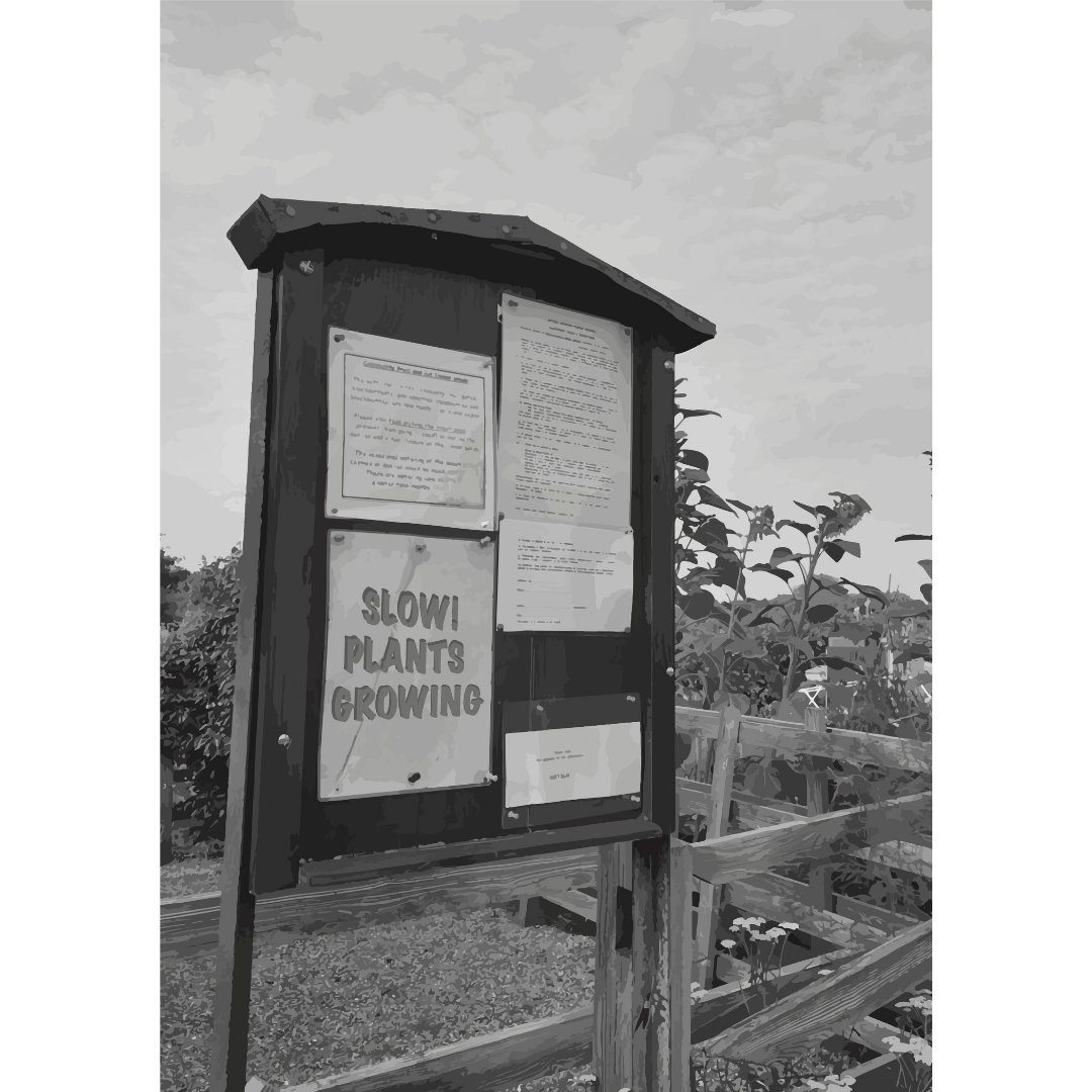 Big Shop Friday tweet media