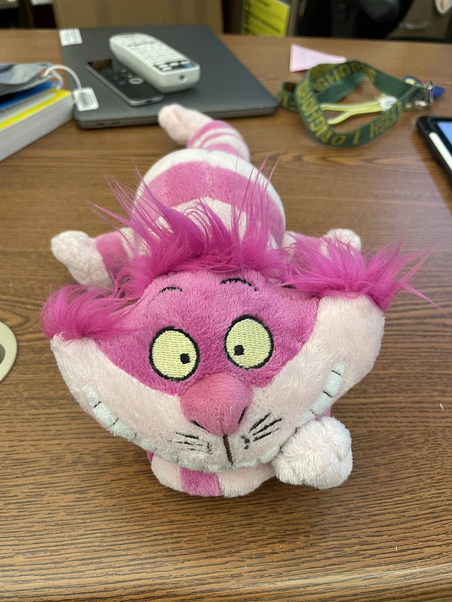 Ms Ullrey tweet media