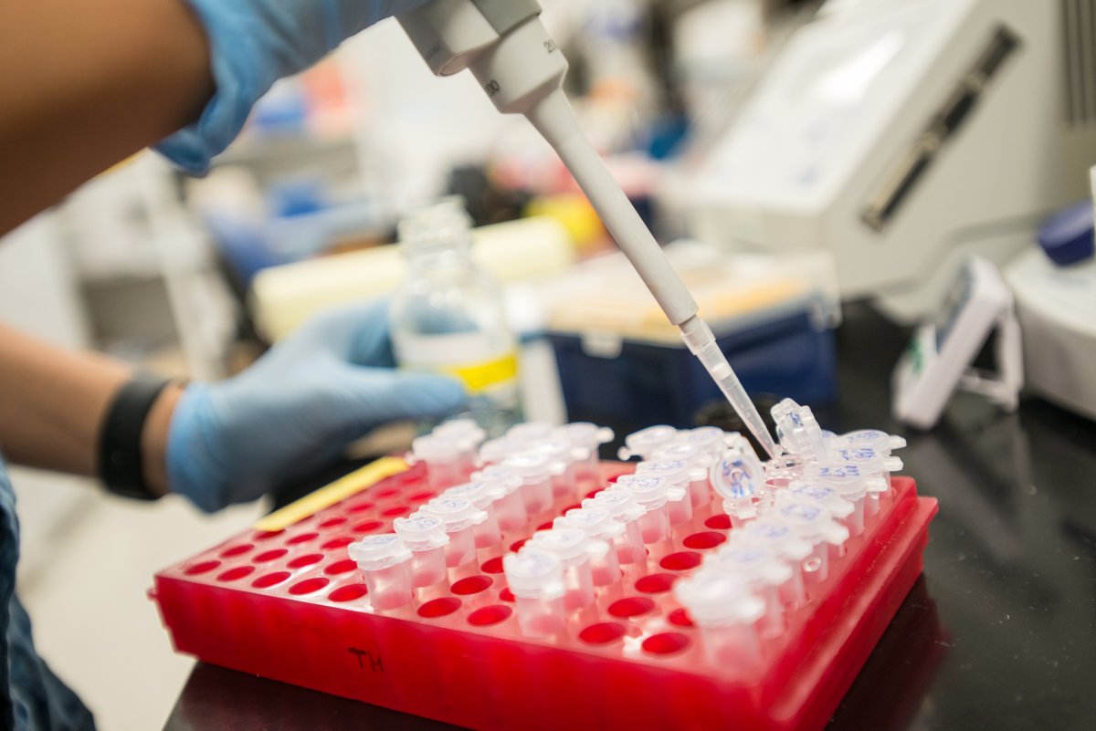 We're accepting applications for our Summer #Undergraduate #Research Program! This paid internship program offers students the opportunity to work full time in a Barrow #neuroscience laboratory for 10-12 weeks. Apply by Jan. 31: bar.rw/3FF5Gr7