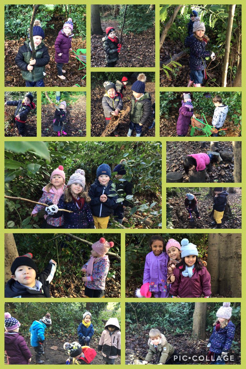 TyntesfieldN's tweet image. A beautiful sunny afternoon in the woods. Lots of hide and seek and some very impressive team log rolling!!