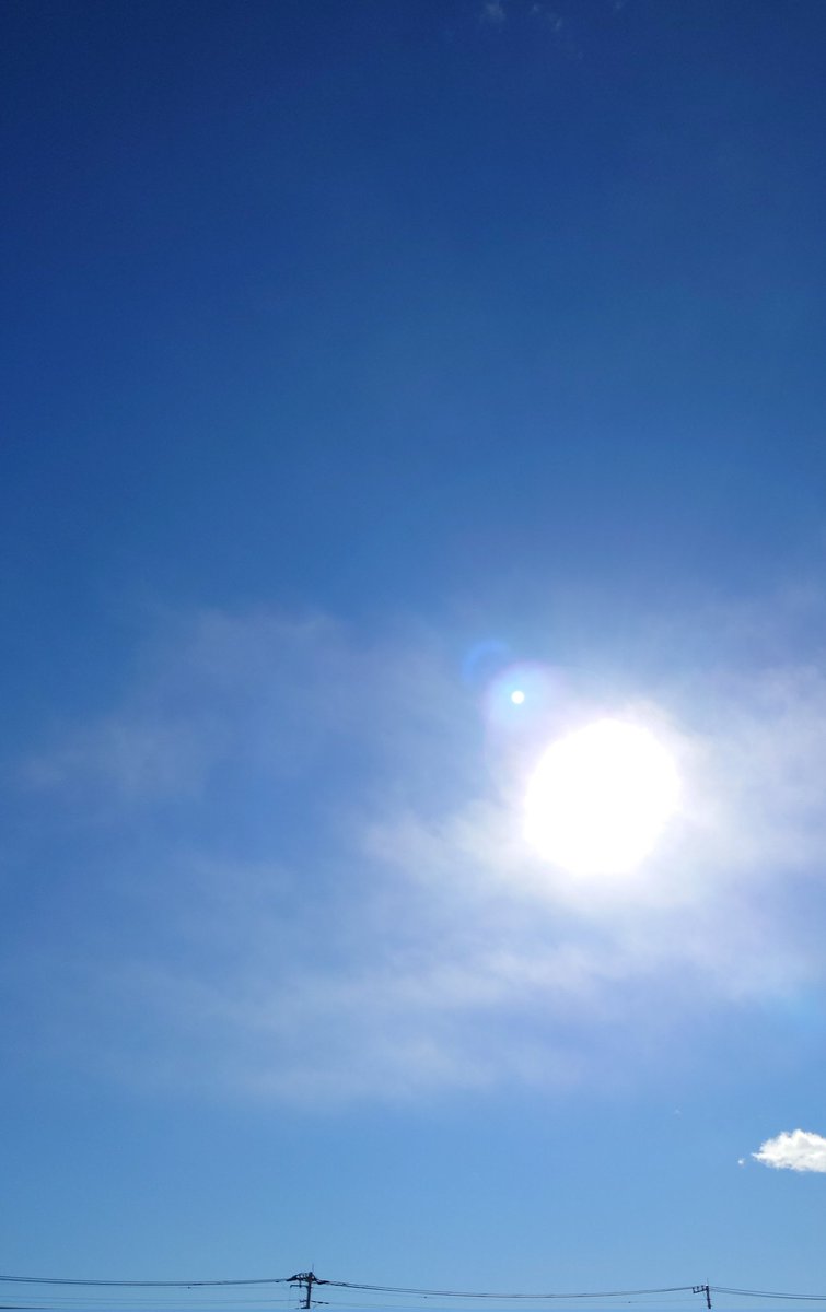 皆さん おはようございます☀
1️⃣月1️⃣9️⃣日 水曜日
本日多忙のため挨拶のみ
ごめんなさいm(_ _)m
夜ツイもお休みします🙇‍♂️