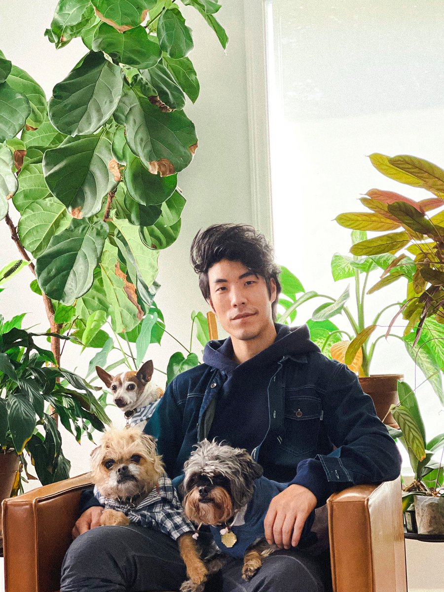 Turning 36 today. Celebrating with my dogs and houseplants.
