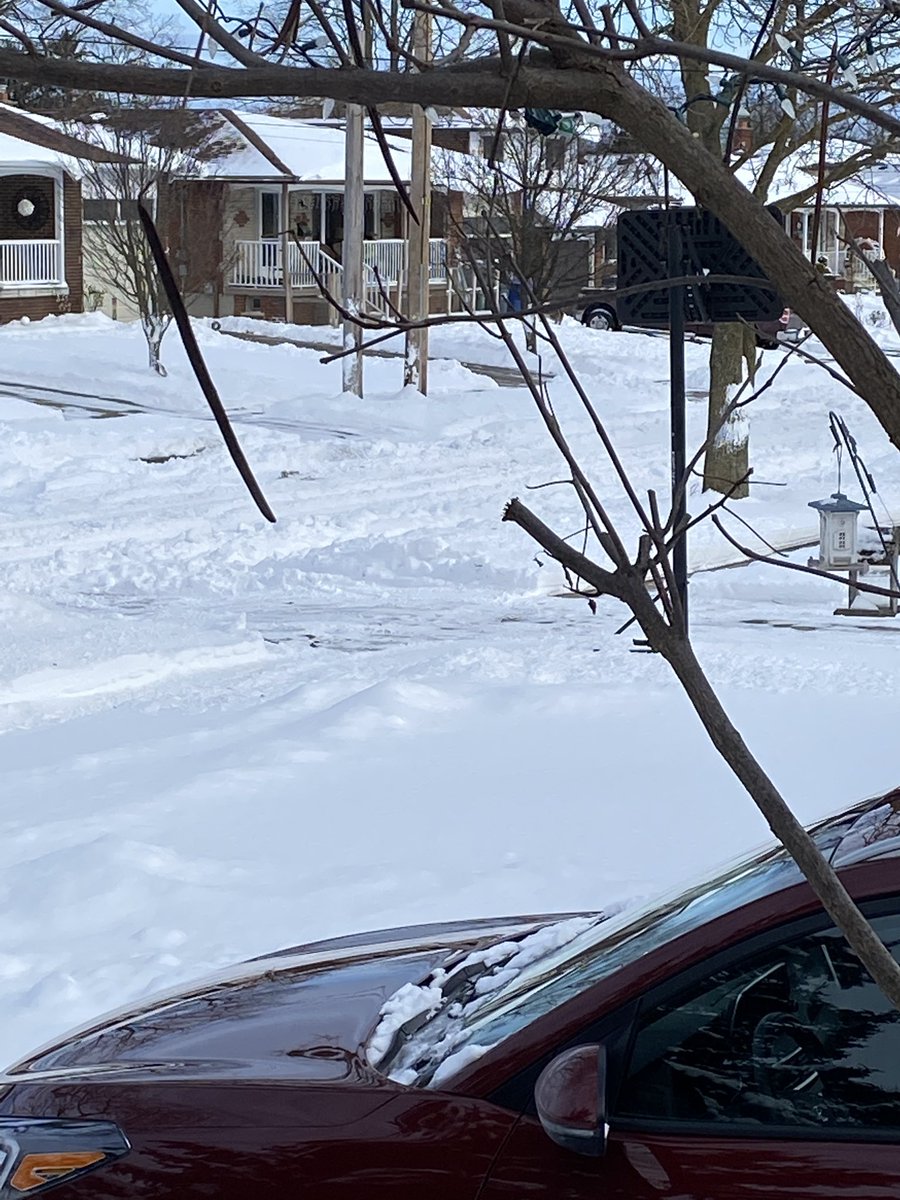 SafeStepBrenda's tweet photo. Still waiting for our road in Guelph to be cleared. https://t.co/ca6w6jzpov