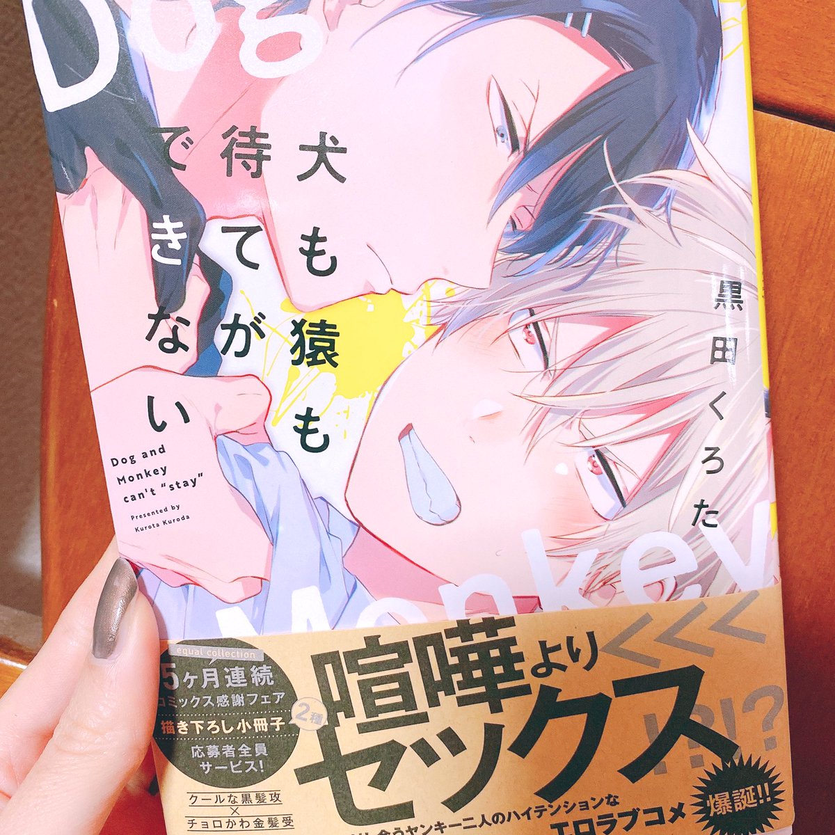 可愛かった❣️ヤンキーものばかり増えていく…金髪のヤンキーは受けだし黒髪のヤンキーは攻め 
