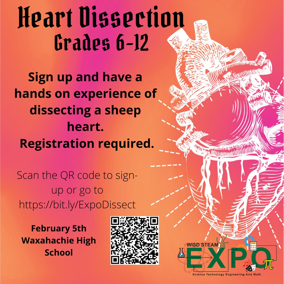 WaxahachieISD's tweet photo. Have a hands-on experience of dissecting a sheep heart at the #2022STEAMexpo 

FREE registration: https://t.co/916xrOxuC3

@WaxahachieHS @Coleman_Chiefs @HachieHowardJH @FinleyJrHigh @Wax_GlobalHS @CurriculumWISD https://t.co/J8GGWfHAlT