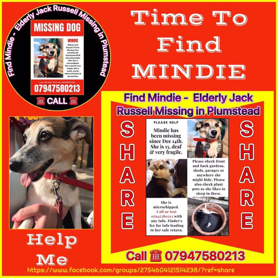 fificatwoman's tweet photo. @Medivet_UK @ProfNoelFitz #findmindieSE18
Elderly Jack Russell missing in SE London the search continues please RT thank you x https://t.co/QkUjkvWYDP