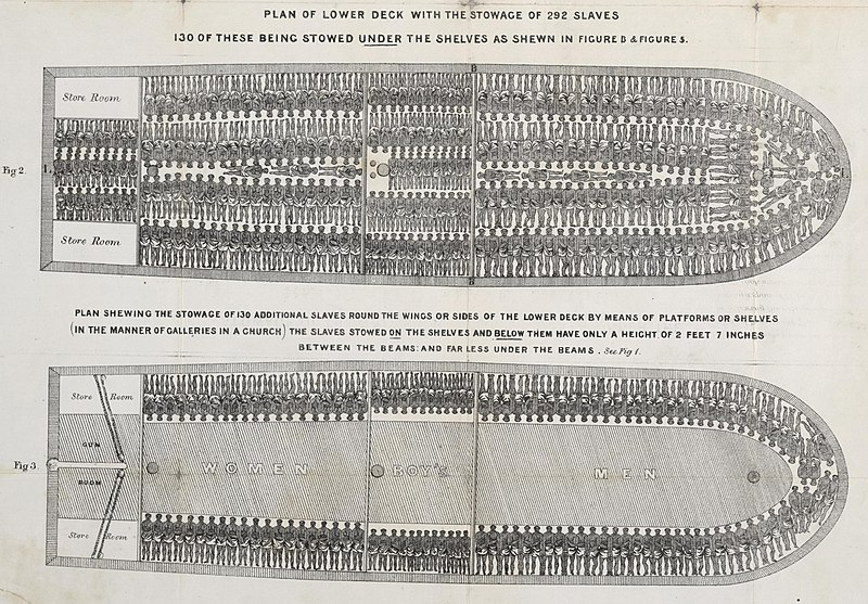Go_Movie_Mango's tweet photo. @katerino Stowage of a British slave ship, Brookes https://t.co/m0yW9a2siY