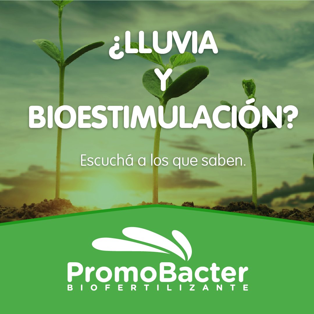 promobacter's tweet photo. Con la seriedad y responsabilidad de siempre, hablamos de este y otros temas en @610Rural. Informate bien escuchando la entrevista a nuestro director, Gustavo García Pintos. Audio: https://t.co/hEeL3yuZ14 #promobacter #bioestimulantes #pioneros https://t.co/XlEP99CdmO
