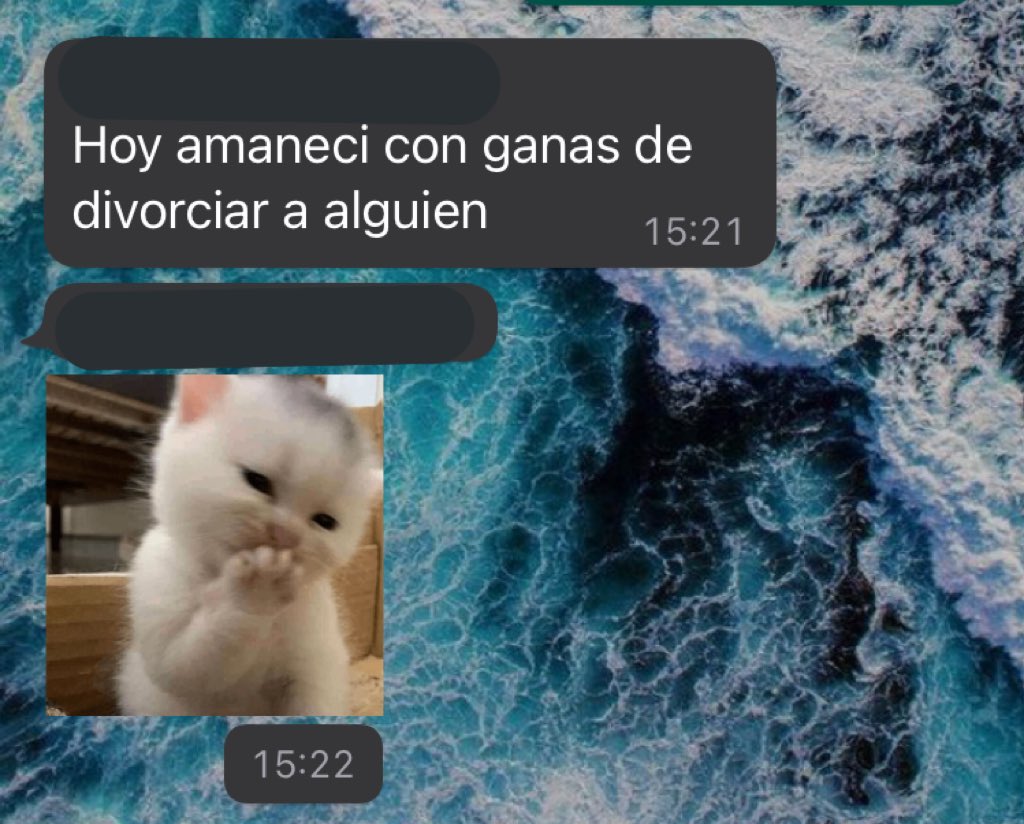 pauuuyzz's tweet photo. Nadie:
Los abogados: https://t.co/OyKTiTreW7