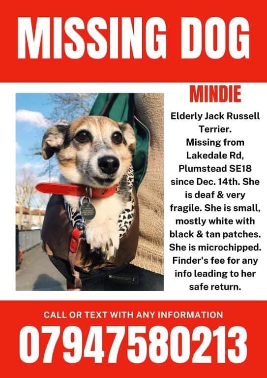 SomeShep's tweet photo. If you're based in, or move through #Plumstead #SE18, could you check your doorbell camera? Or dashcam footage? Maybe you'll see Mindie, an elderly, deaf dog who's been missing since the 14th of December. Maybe it'll help her get back home. Let's #FindMindieSE18 https://t.co/4yStOWIkO7