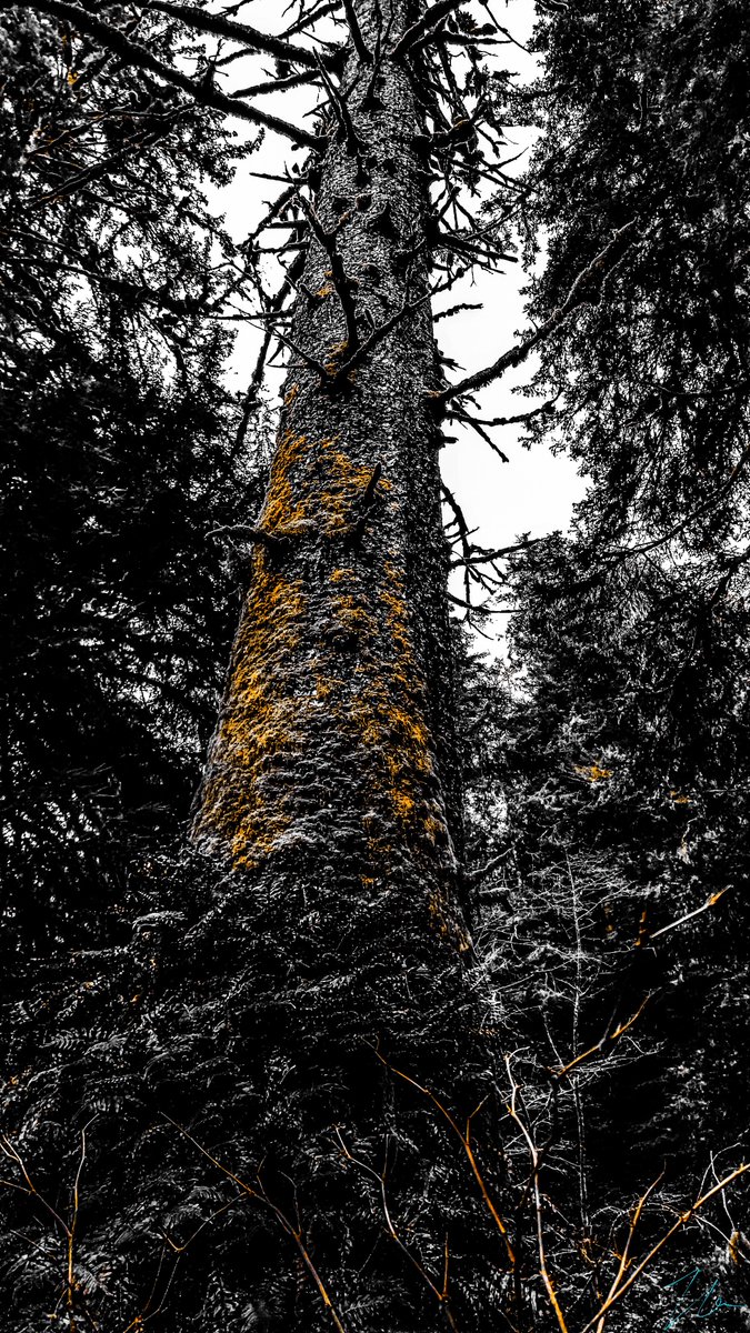 MurphMagic11's tweet image. Working on some new NFTs. Here some already minted ones #NFTs #NFTCommunity #nftphotography