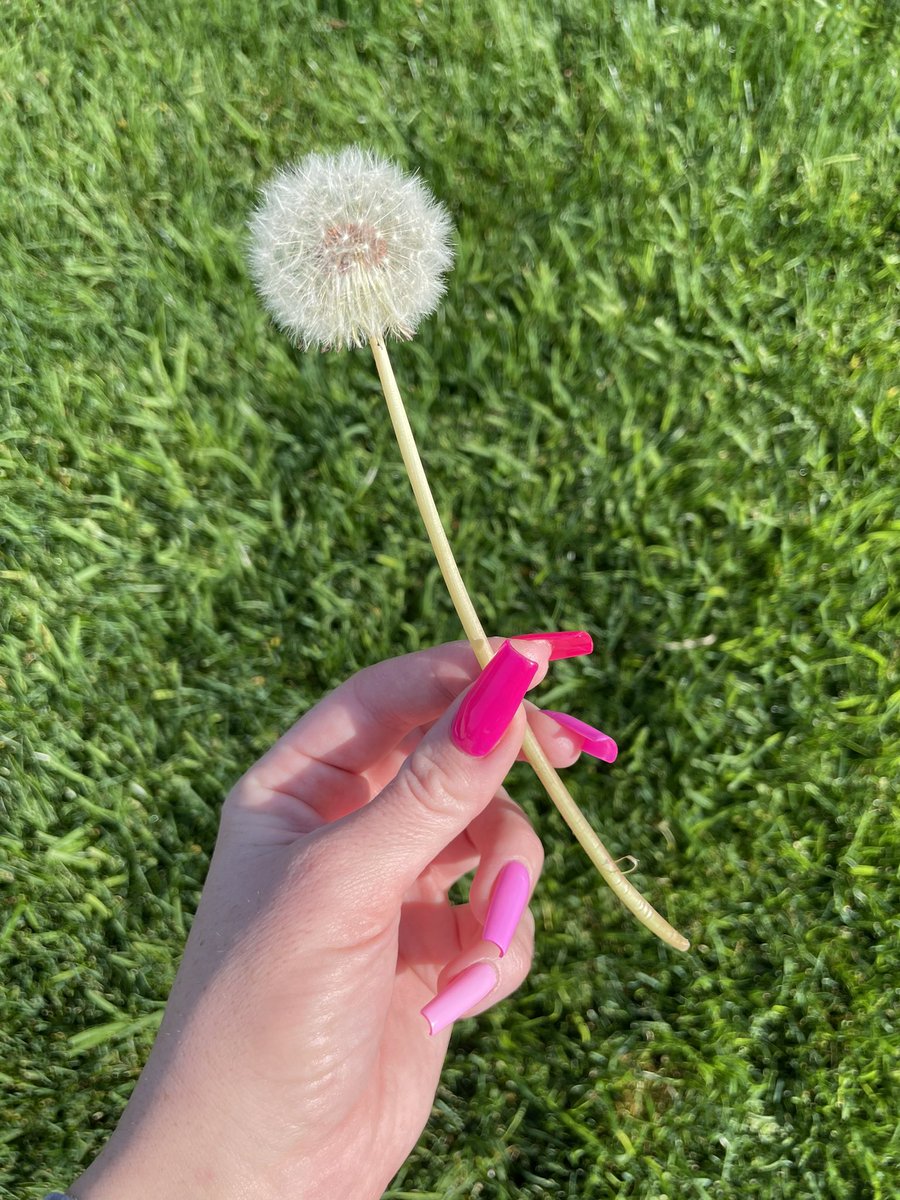 GM ❣️

It’s a great day to have a great day