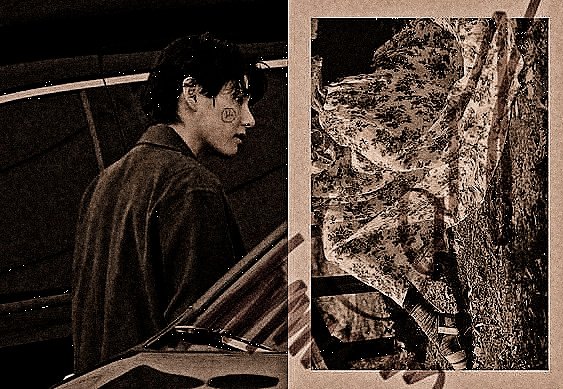 VANTV4MP's tweet image. ᅟ 
ᅟ ᅟᅟ   худший.'❫ 𝐃︭., 𝐍𝐈𝐆𝐇𝐓 ꞉ 𝒎ɑrē ❟ 𓆤. 

ᅟ ᅟ 𝐓hıs ɑccount ıs full ınterpretıve ɑnd the chɑrɑcter ıs fıctıonɑl.    𝐈nterpretıve ınterɑctıons ɑre ɯelcome.
ᅟ ᅟᅟ ᅟ