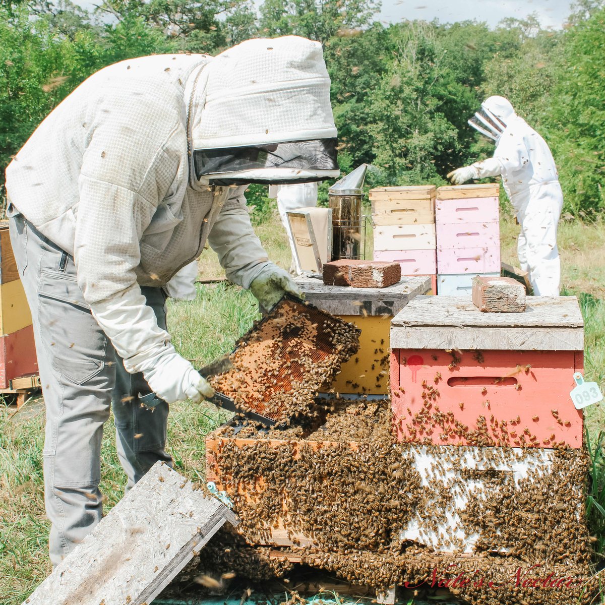 natesnectar's tweet image. Day dreaming about warmer days and hanging with our bees 🐝 

We’re excited for 2022! 🍯