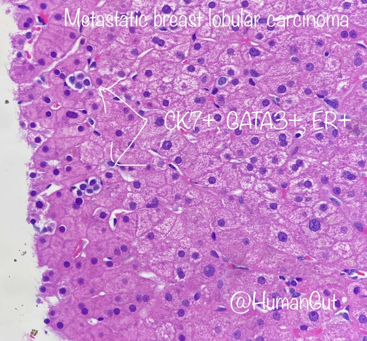 What a variety for the day!