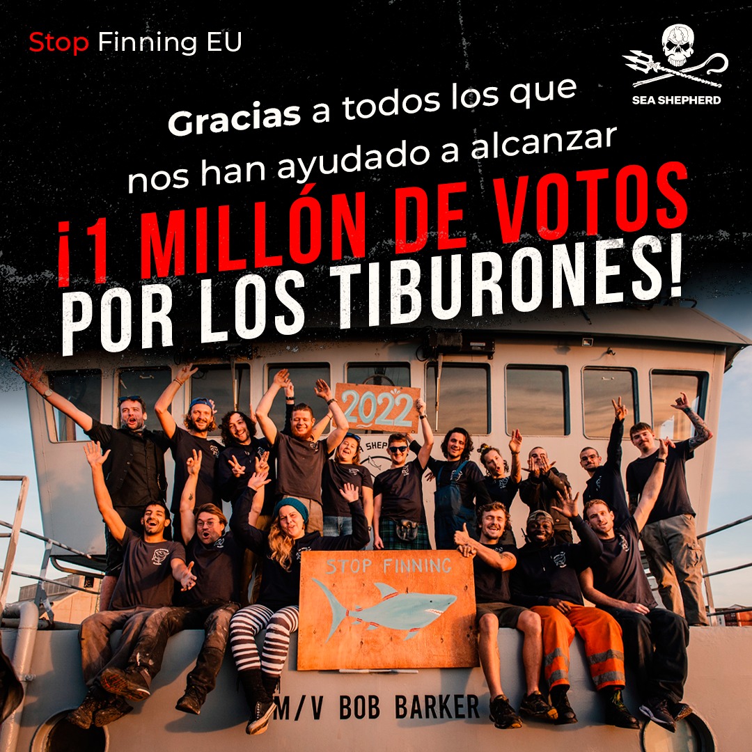 Sea Shepherd España tweet media