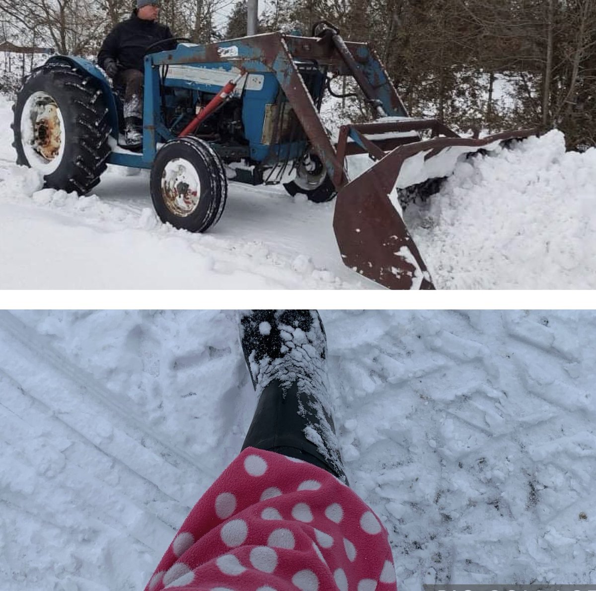 hobbitsteeWR's tweet photo. #outfitfail running around clearing snow to make the driveway passable. Removed my overalls for wildlife feeding chores. Find myself doing outside chores in pink polka dots with rubber boots. #rurallife #farmfashion https://t.co/WgNZnw9i3L