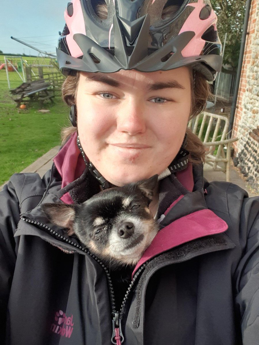 Elizabeth tweet media