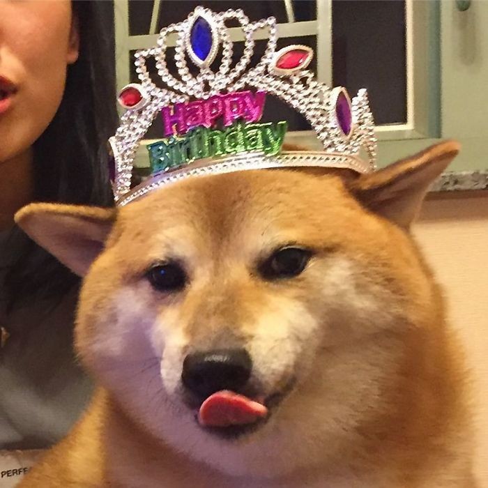 mjayeverlark's tweet photo. Hoje o dia tá mais lindo pq é O DIA DELAAA 🥳🥳😍 @everllartpwk https://t.co/Z7o0iAwX3K