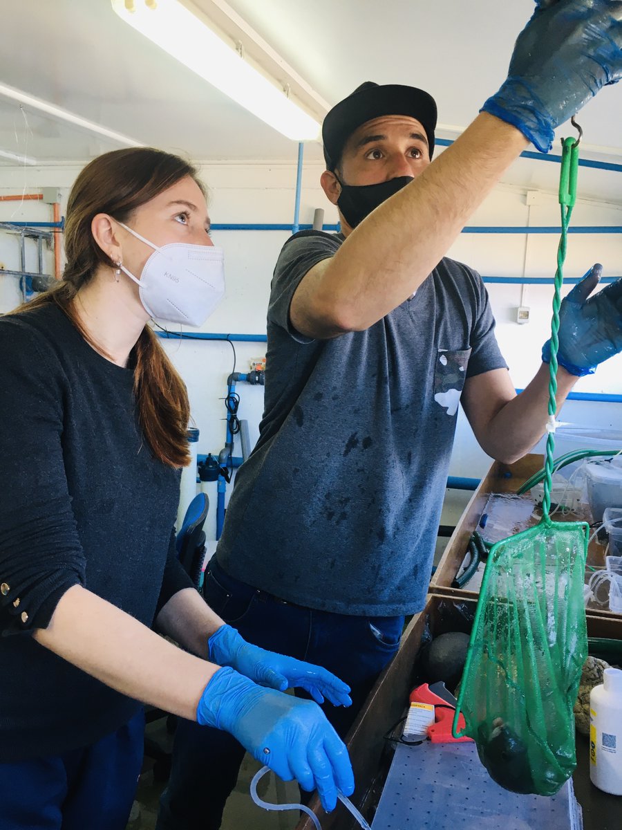 Subelab_chile tweet media