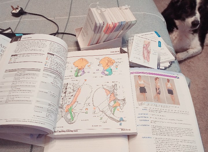 My revision game... Send help 😭🤞🙏 #huddersfielduni #revision #physiotherapy