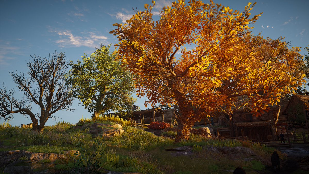 Virtual Landscapes tweet media