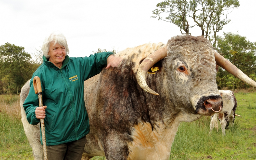 FarmersOfTheUK's tweet photo. "Healthy soil produces healthy plants that produce healthy food and so healthy children." @Susans_Farm near Carlisle was Cumbria's first @PastureForLife certified farm and hosts over 100 farm visits a year #farmsforeveryone #inspirationalfarmers https://t.co/QnnMc5qjSn