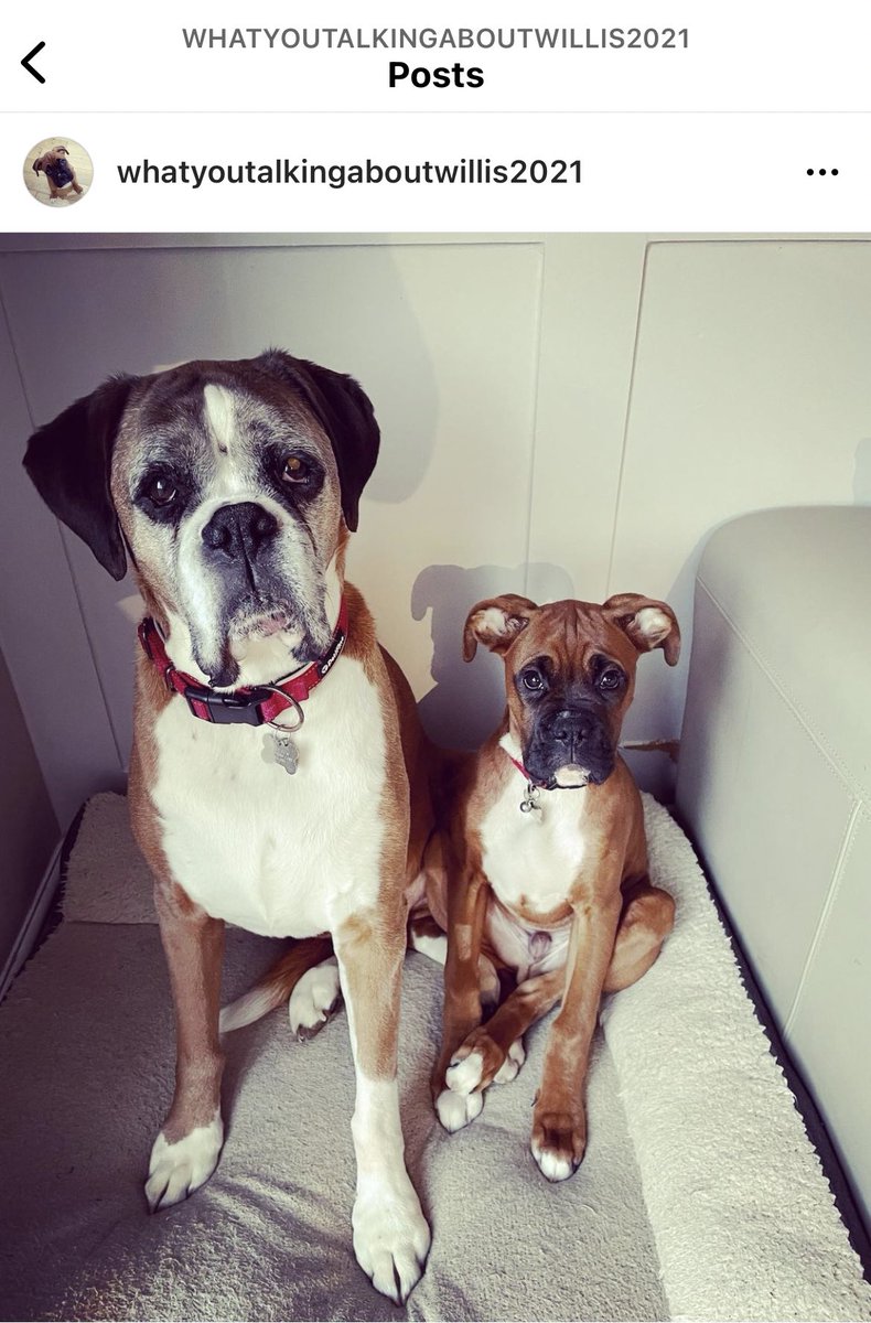 Not so little and large 🐾