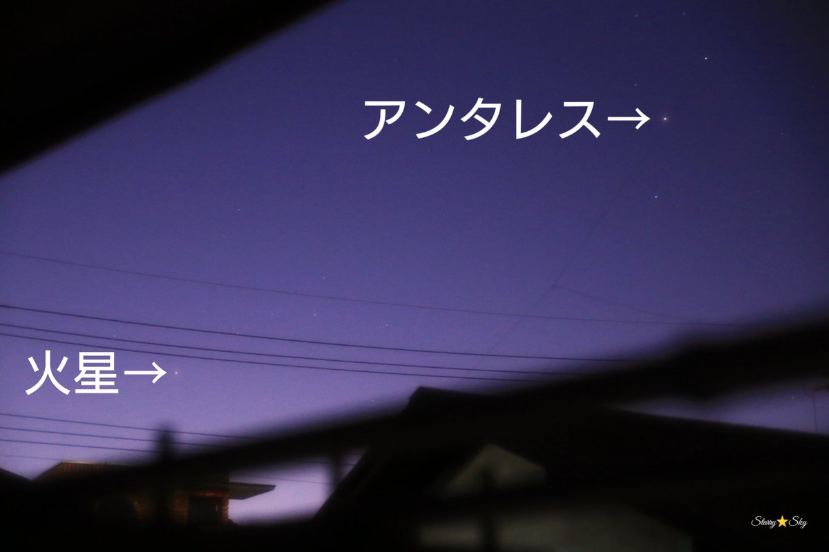 Mars ただ 君を愛してる 最新情報まとめ みんなの評価 レビューが見れる ナウティスモーション 4ページ目