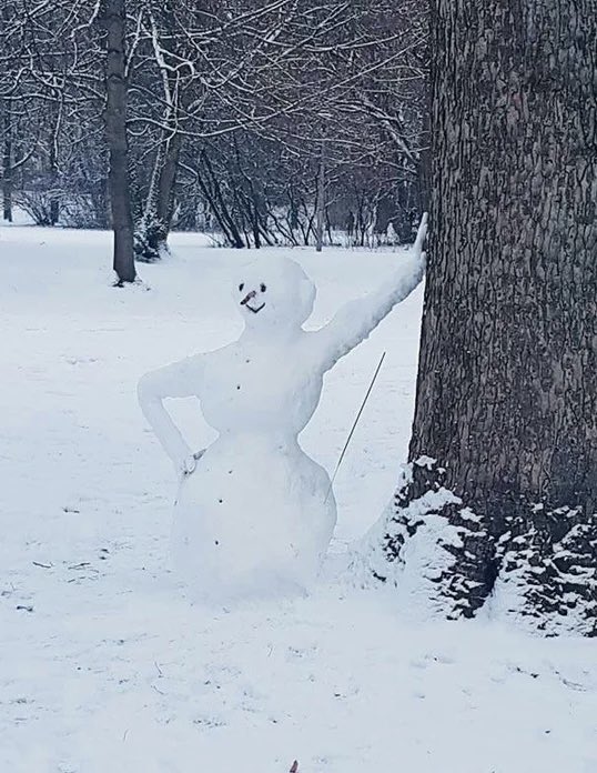 adamgreattweet's tweet image. i’ll never be this chill