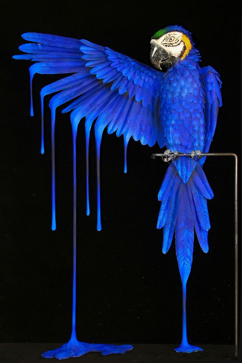 LorMaArtist's tweet photo. With this new paper sculpture by the artist L'orMa we announce the opening of the exhibition "One to One"!
Forni ArtGallery
Would you like an NFT by L'orMa inspired by this sculpture? Let us know😉👉
#NFT #NFTs #NFTCommunity #cryptoart #cryptoartist #Cryptoartists #cryptoartwork https://t.co/fqADzPF0Rb