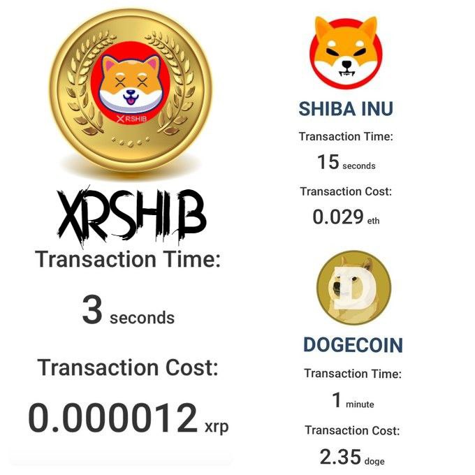 pieterpeperoni's tweet photo. Hey, I'm doing a new GIVEAWAY!

#XRshib, the 1000x gem💎 on the #XRPL.

7,500,000 XRshib to 3 people, 2,500,000 each.

▶️follow me and 
@XRshib

▶️tag 3 friends 👥
▶️like, comment and retweet📃

Ends in 24 hours🎉

👉Make sure TL is set

Good luck and #XRshib to the moon🚀! https://t.co/e54UHE1Z3M