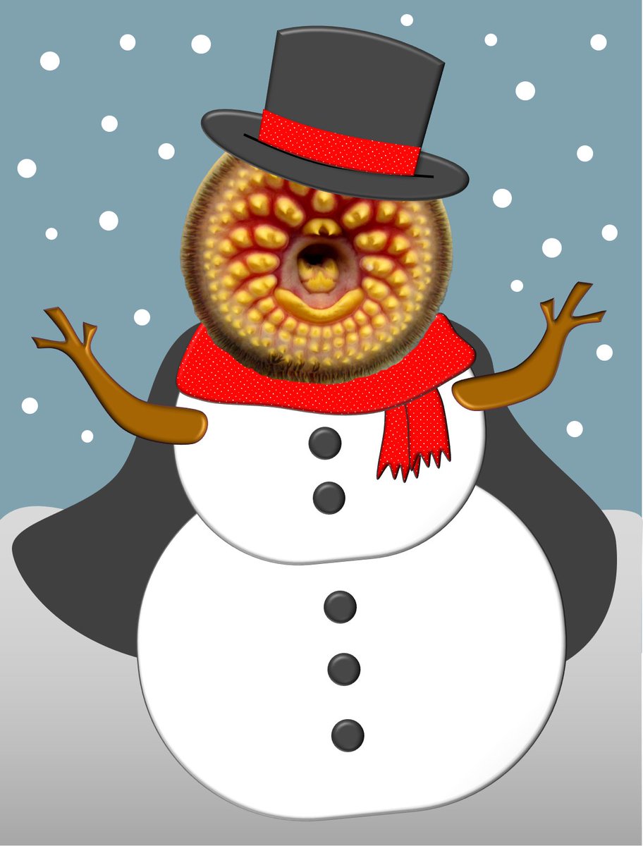 LampreyControl's tweet photo. What do you get when you cross a vampire fish and a snowman?
.
.
.
Frostbite!
#GreatLakes #invasivespecies #sealamprey #vampirefish https://t.co/2RL3xnaHvO