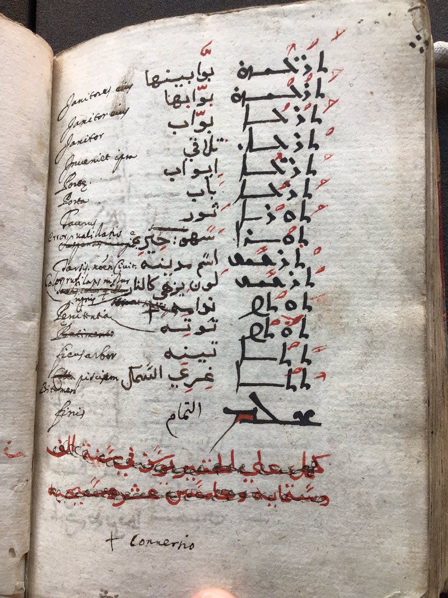 1615 manuscript Syriac-Arabic-Latin (الافرنجي) glossary. There are many revisions to the Latin, and Turkish equivalents were later added in the margins. Bodleian, ms Marsh 92.