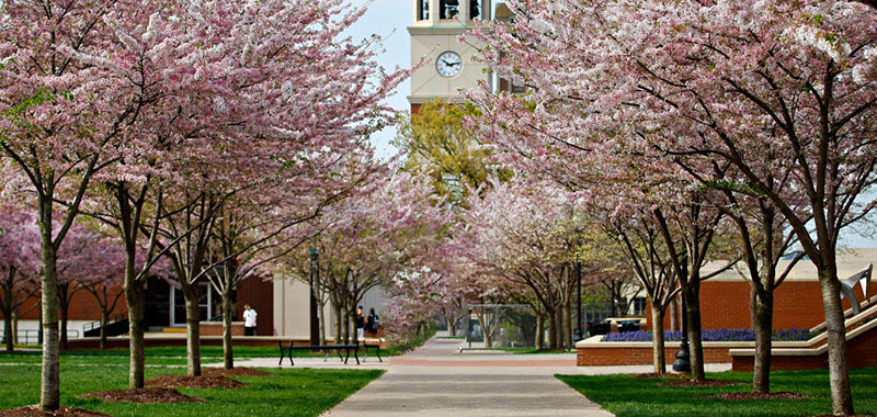 Rated as one of the most beautiful campuses in the US and just one hour north of Nashville!