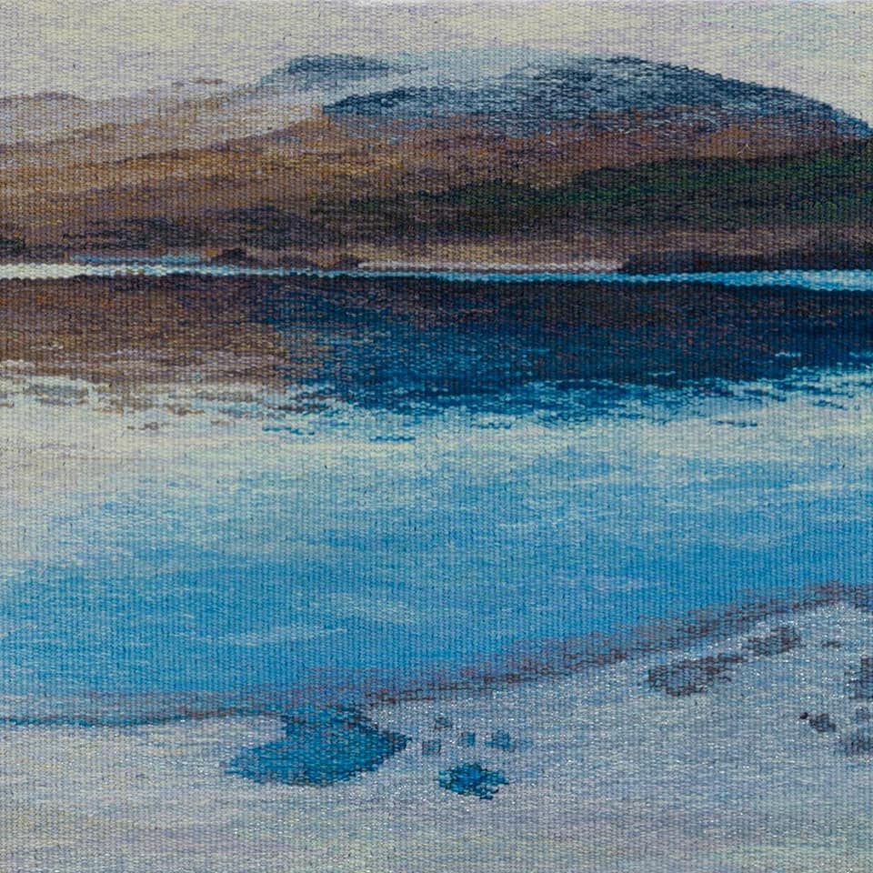 britishtapestry's tweet photo. To The Waters and The Wild 
British Tapestry Group 
13 January - 28 February 2022
Scottish Ornithologists' Club
Waterston House
Aberlady, East Lothian, EH32 0PY
This exhibition of tapestries inspired by the natural world &amp; created by  Scottish members of the Group https://t.co/6uKlcqg1oU