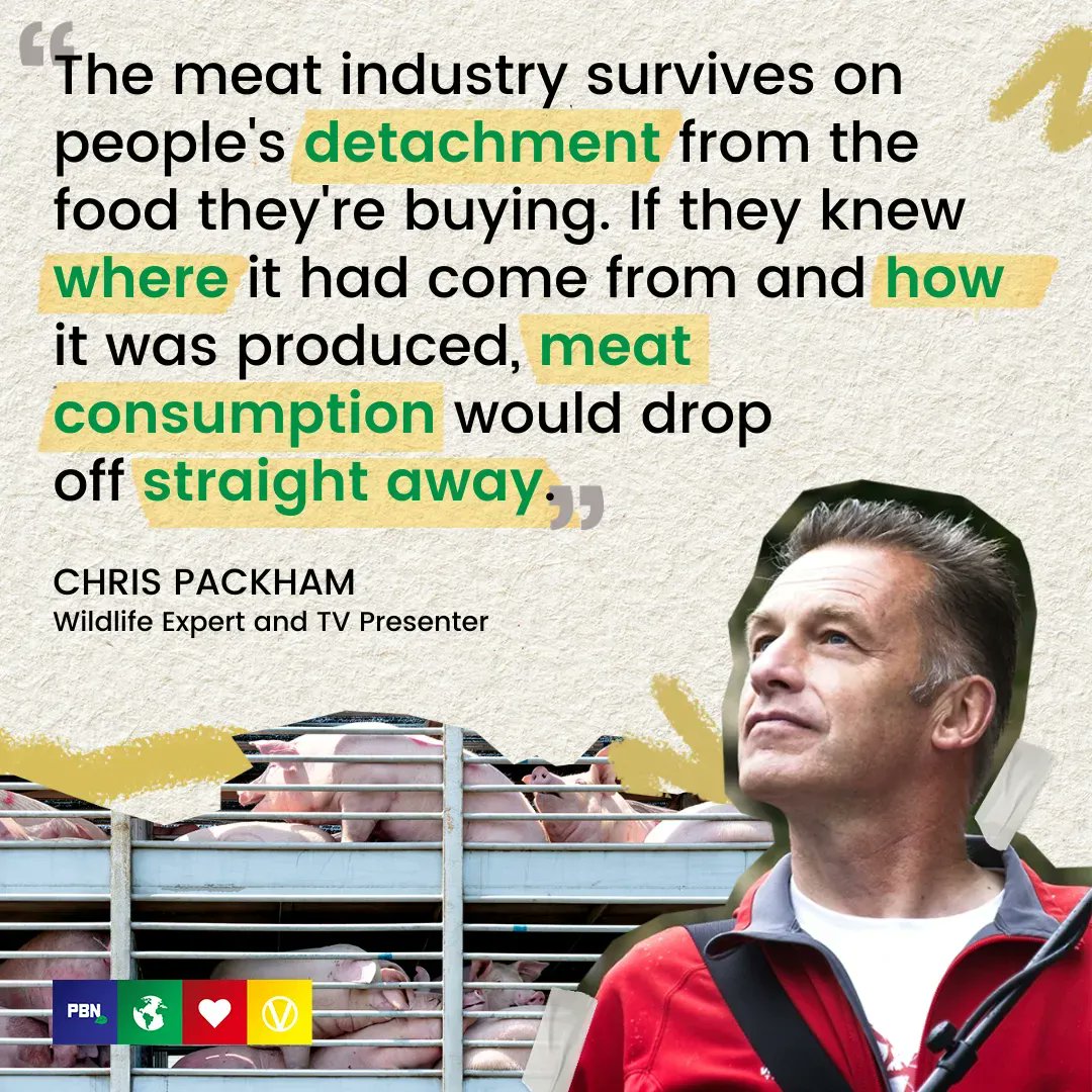 PlantBasedNews's tweet photo. If people knew the conditions that farmed animals were raised in, do you think they would continue to support such industries? 

@ChrisGPackham https://t.co/v8OCjAxSJZ