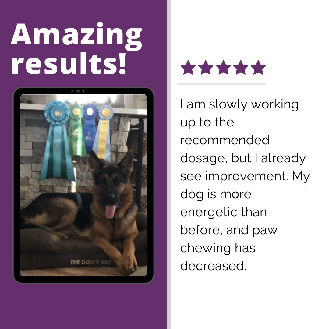 PawsitiveGuts's tweet photo. Results speak volumes! https://t.co/UDUJbLKdwF