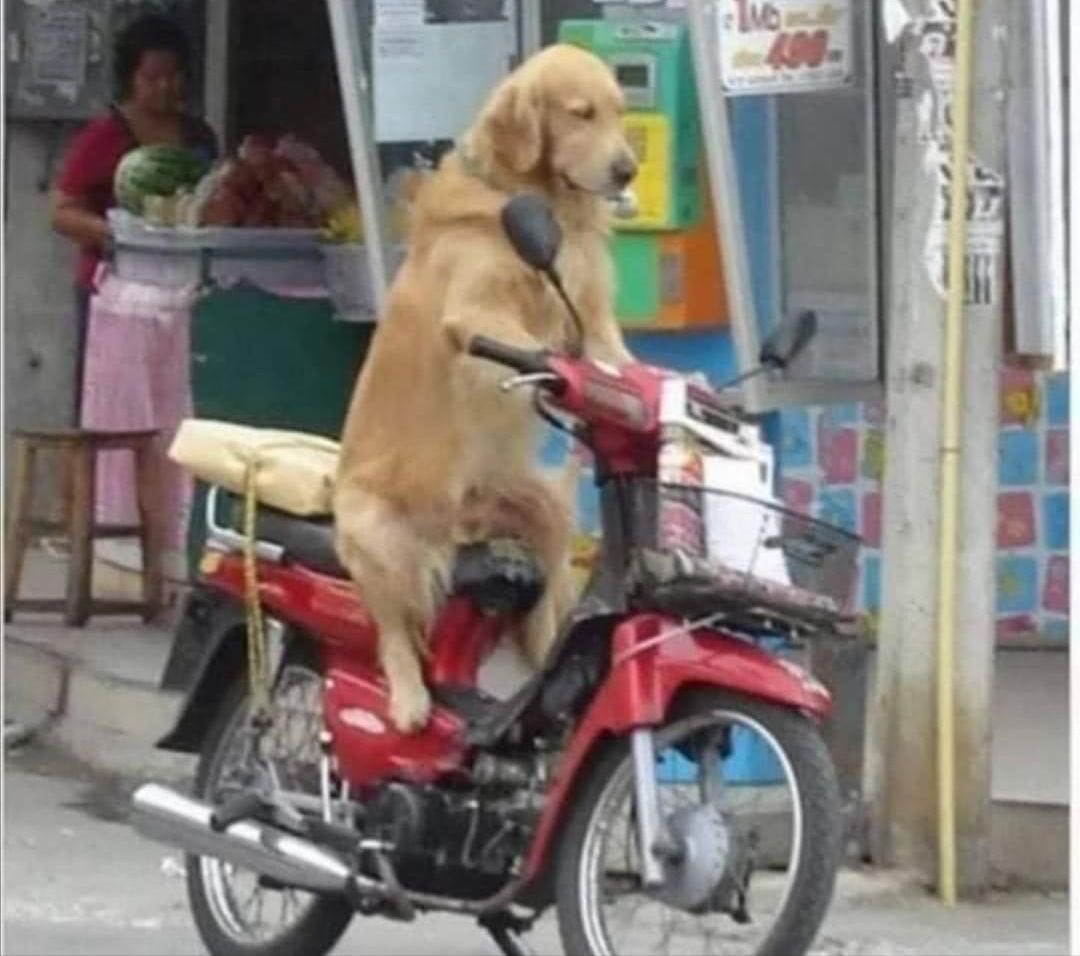 No sé a dónde va, pero quiero ir con él.