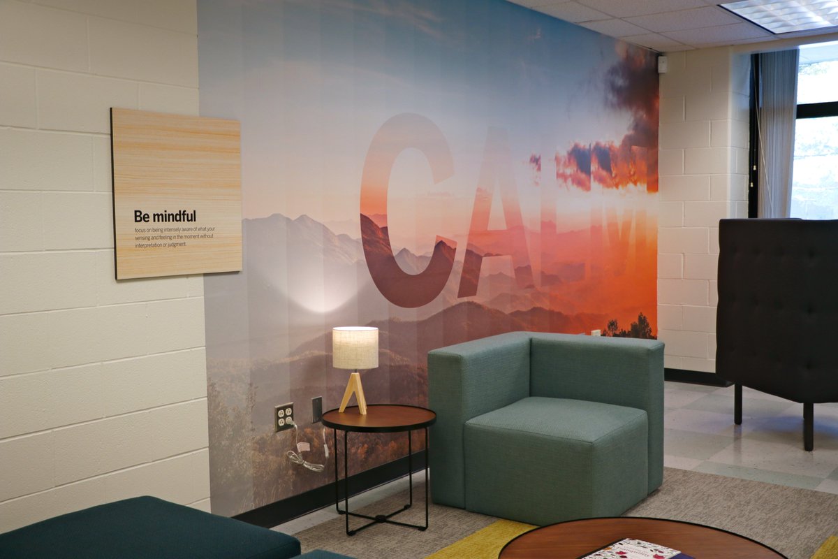 dbqschools's tweet photo. New brain health "retreat rooms" are opening this week at Hempstead and Dubuque Senior High Schools thanks to funds from Debi and Andy Butler of @BrainHealthIA and other community partners. https://t.co/FNJloCyTcK
