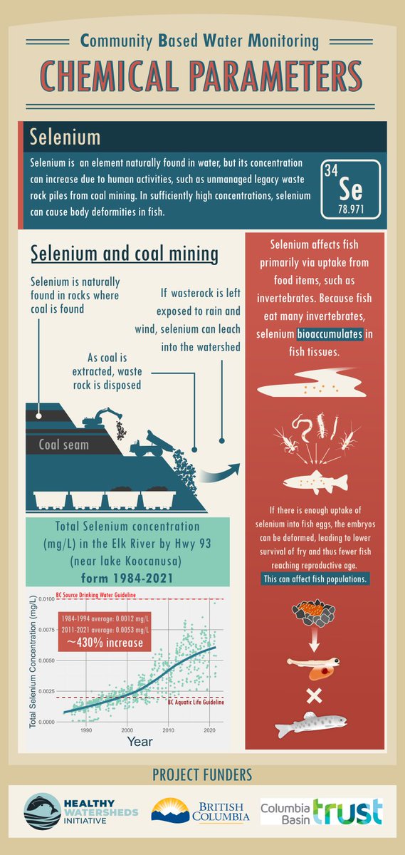 How does selenium actually relate to #coalmining? Find out in our infographic! 

Thank you for funding from @HealthyWatersBC @TheTrustInfo and Gov of BC’s gaming fund. 

#scicomm #scitwitter #biology #science #conservation #ecology #infographic #mining #fishbiology #freshwater
