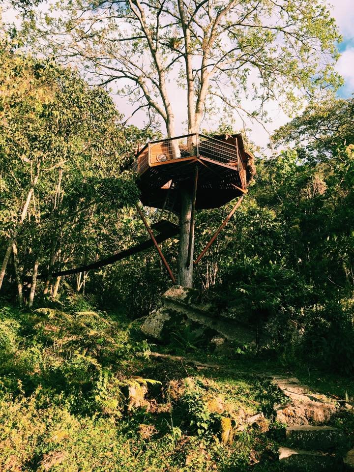 MelissaRidleyC's tweet image. Si sabes el significado de esta casita dale RT
#CACHÉJUNTAS